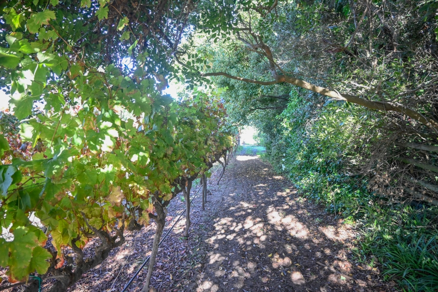 3 Bedroom Property for Sale in Stellenbosch Farms Western Cape